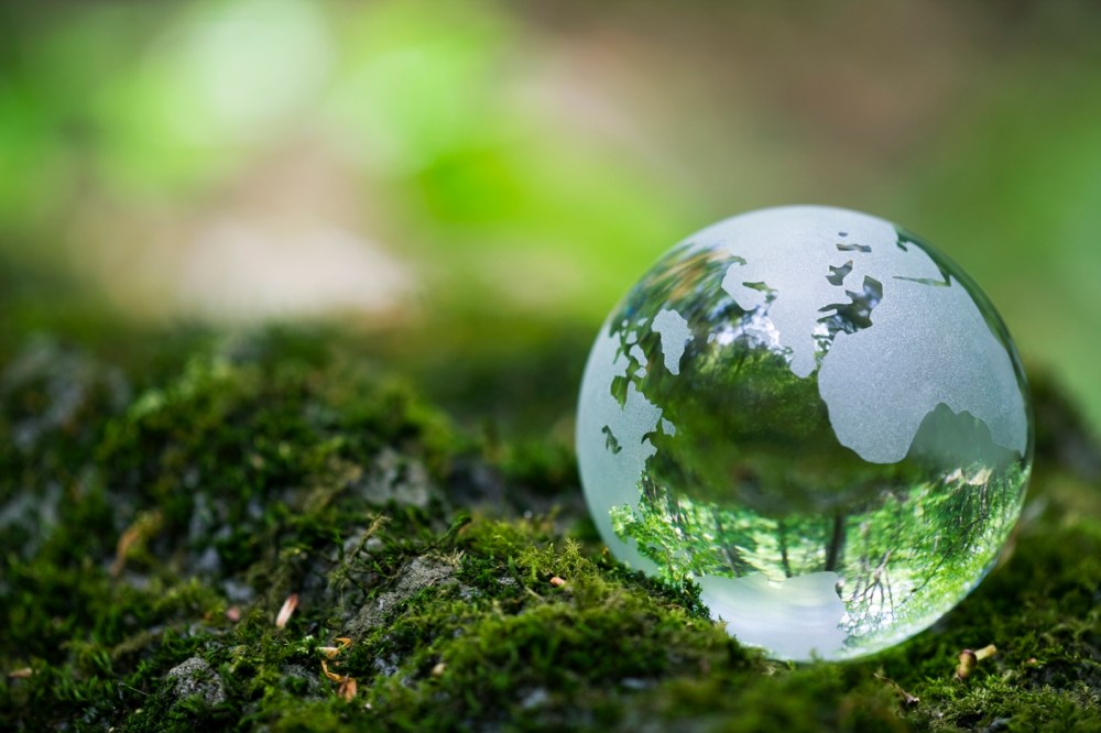 MAIN GLOBE IMAGE