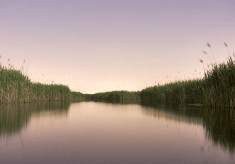 Quinnipiac River at sunset